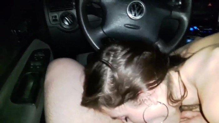 The brunette sucked in the car