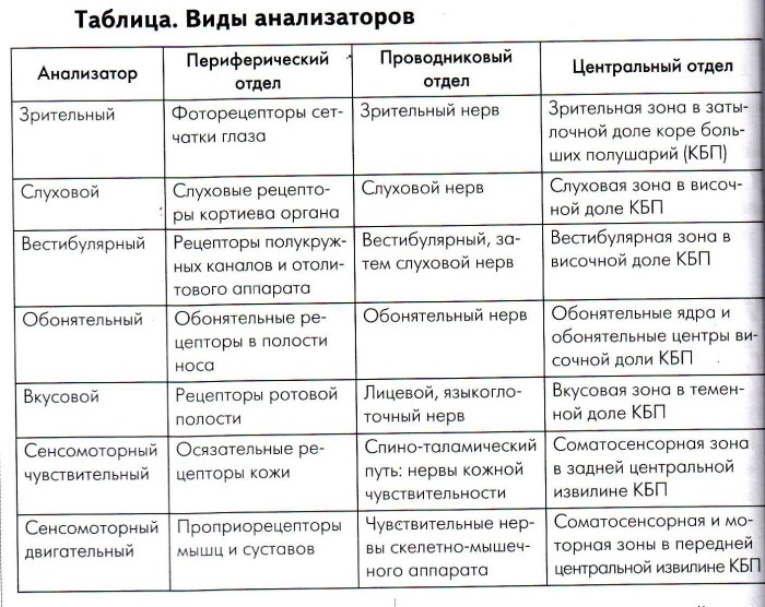 Building and functions of analyzers table