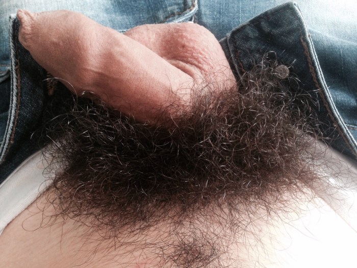 Boys First Pubic Hair Penis