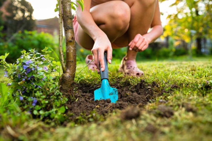 Gardener is digging in the ground