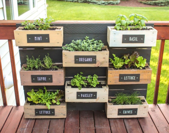 Spicy herbs