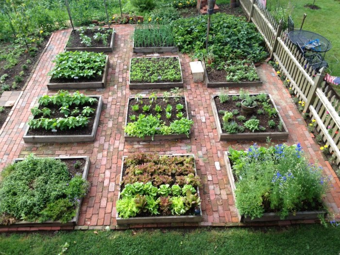 1st garden