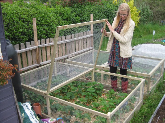 Decorative garden
