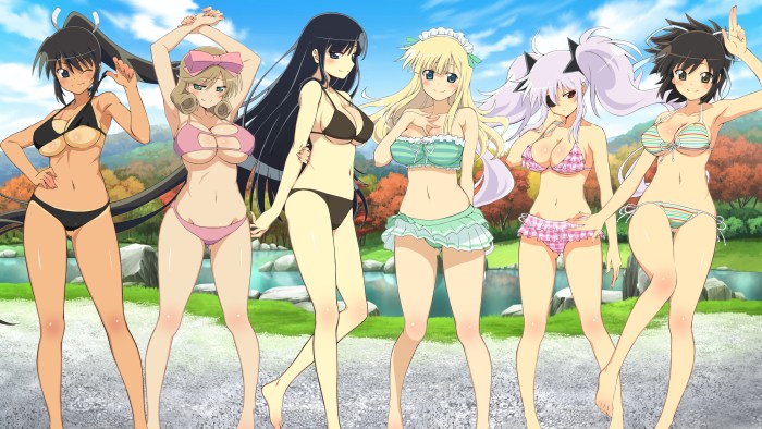 Senran kagura anime