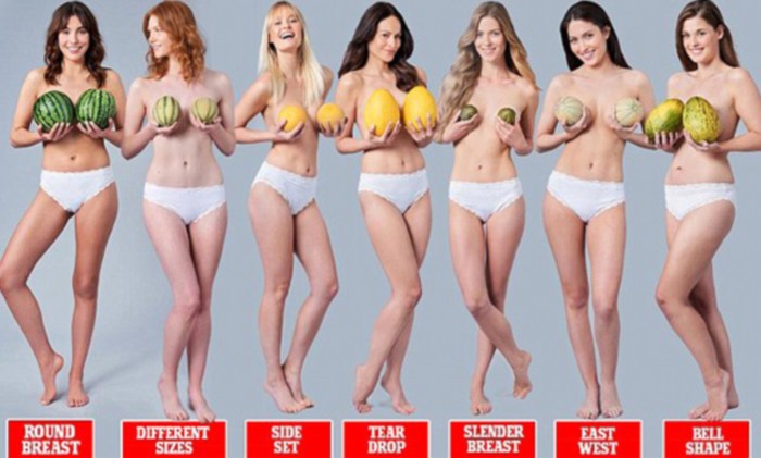 The dimensions of the female breast