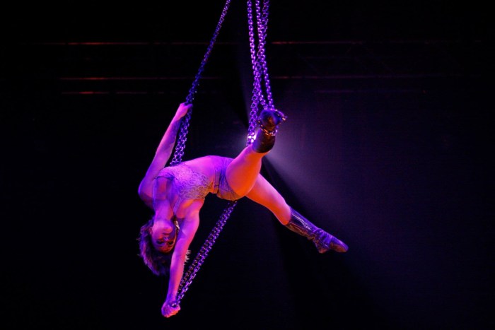 Under the dome of the circus