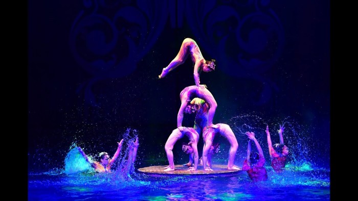 Circus du salts Air gymnast