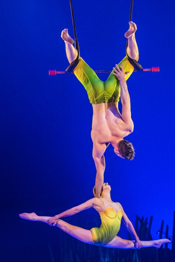 Snake acrobats costume