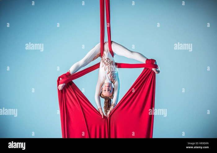 Circus art