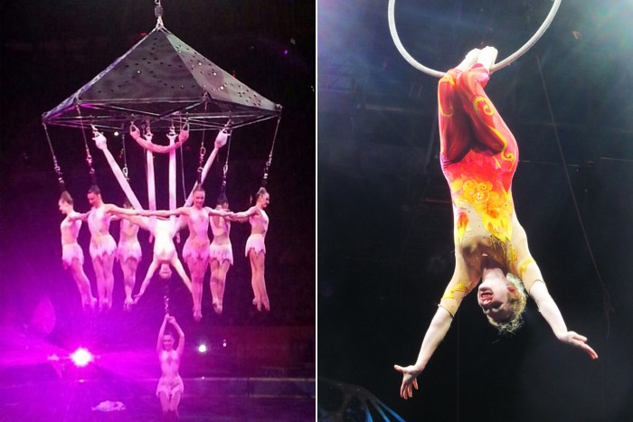 Circus Acrobat Bruno