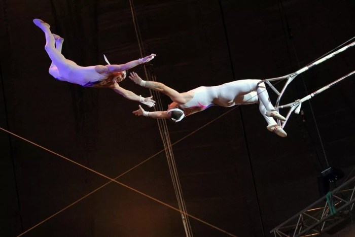 Circus numbers of acrobatics