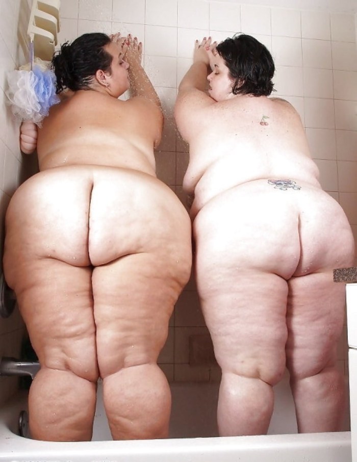 Old female asses