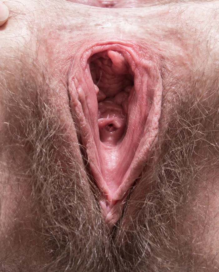 Huge hairy vaginas