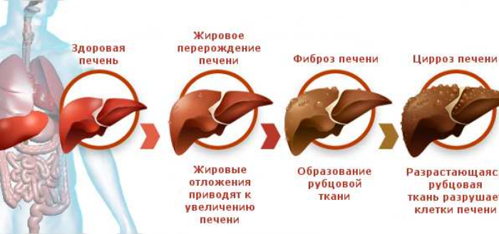 Schedule of doctors of the central clinic