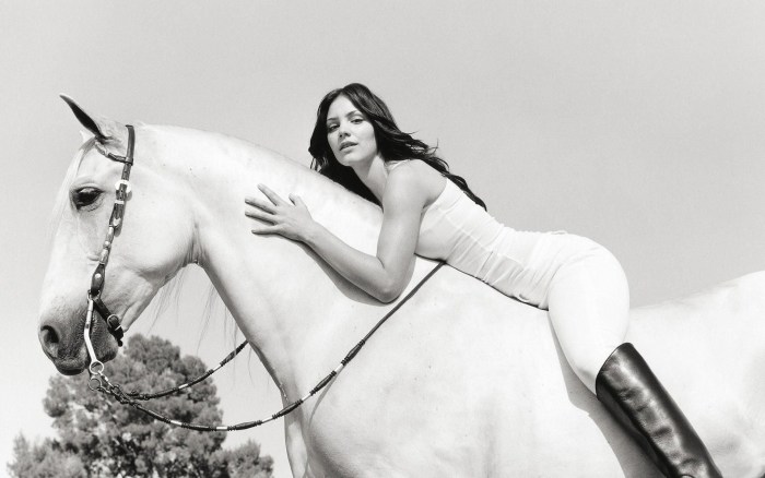Beautiful girl on a horse