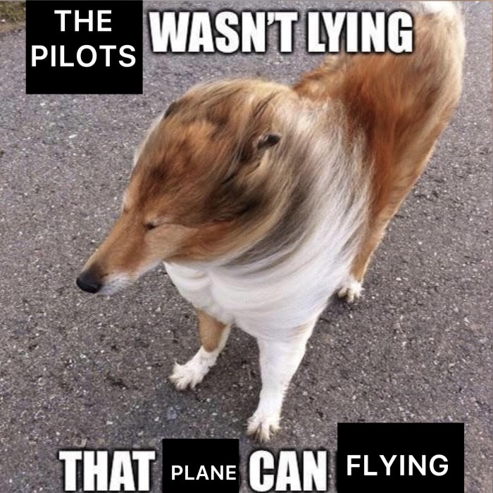 The wind is a meme