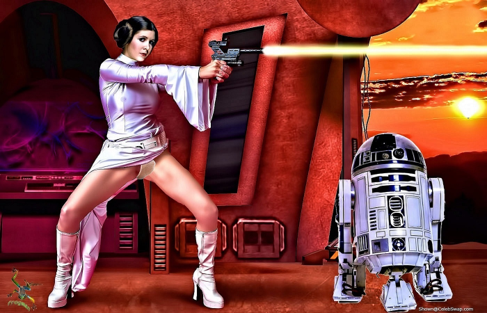 Star Wars Shabby Blue Leia Organ