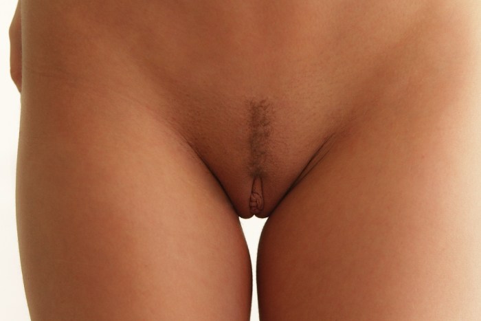 Beautiful hairy female pubis