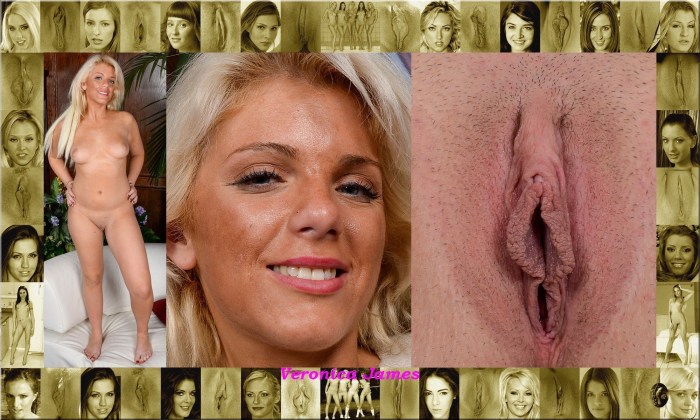 Collage face and pussy