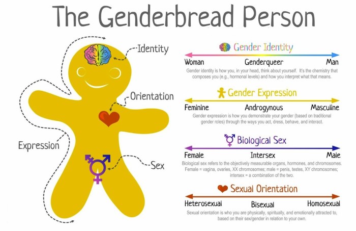 Gender orientation