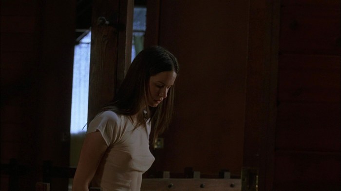 Katherine Waterston Naked