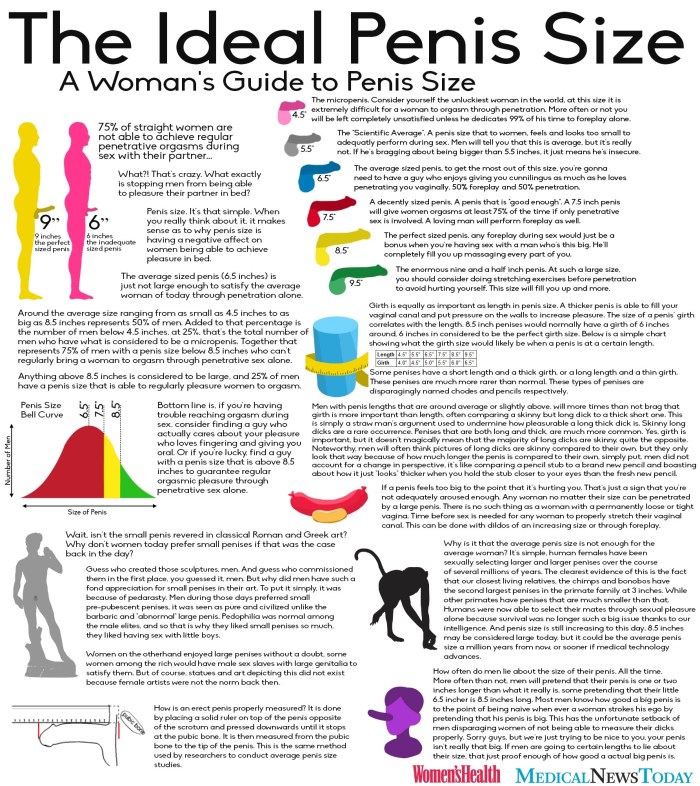 Cock Chart Hentai Size comparison