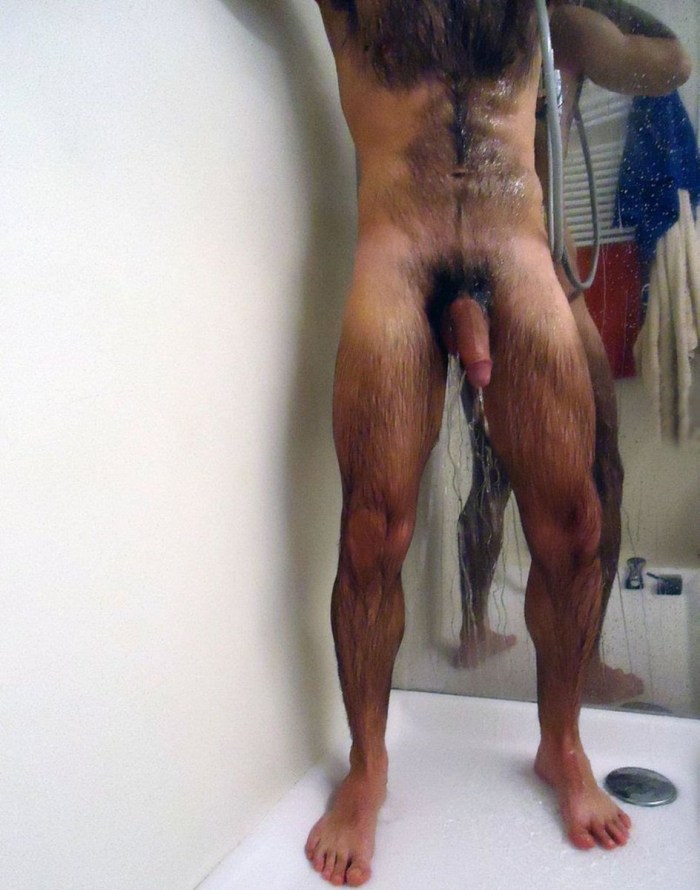 Hairy male pubis