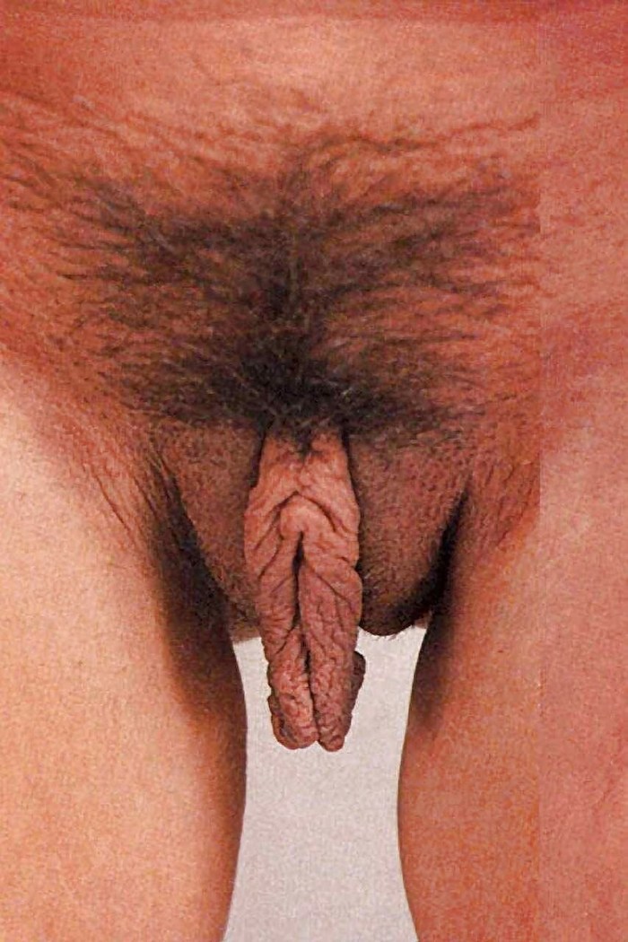 Naked thick brunettes