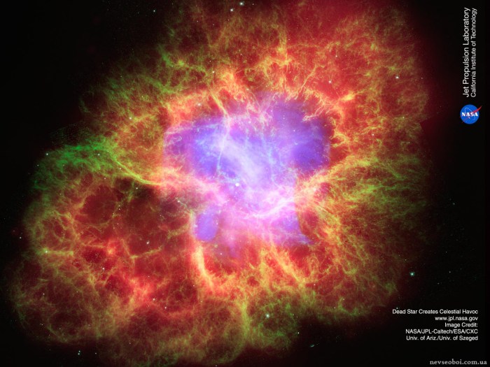 Dania is just a cosmos