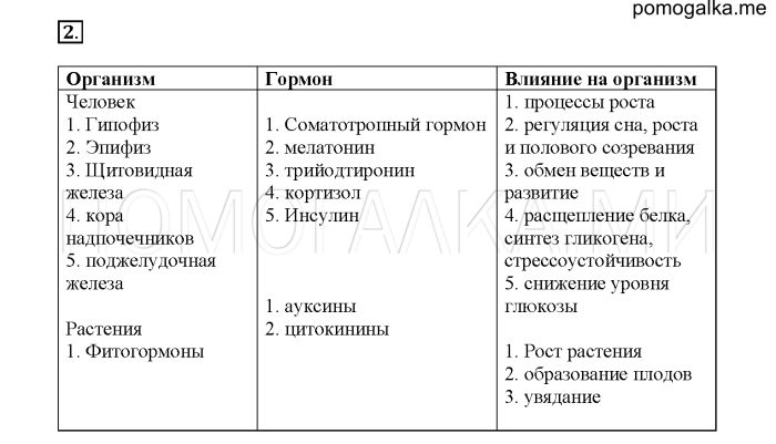 M Krasev Christmas tree notes