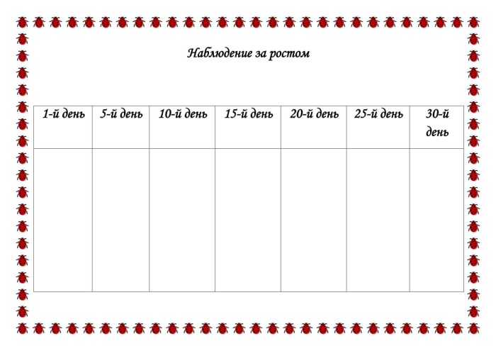 Tomato observation diary in kindergarten