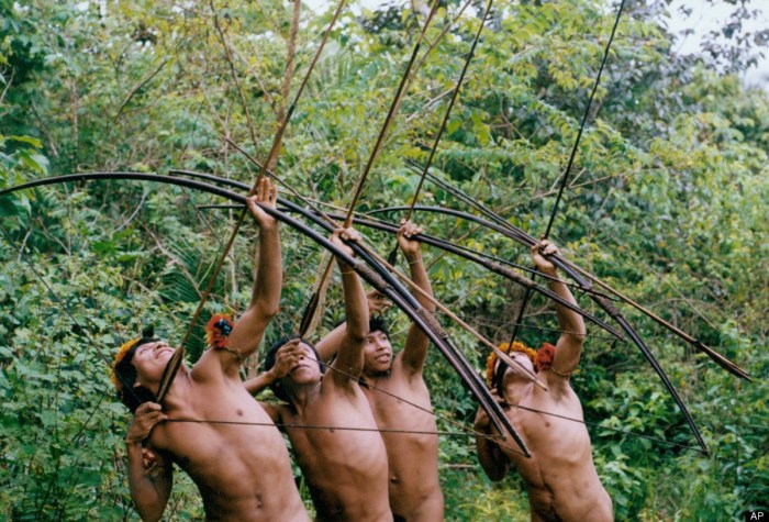 Pornstars in the jungle