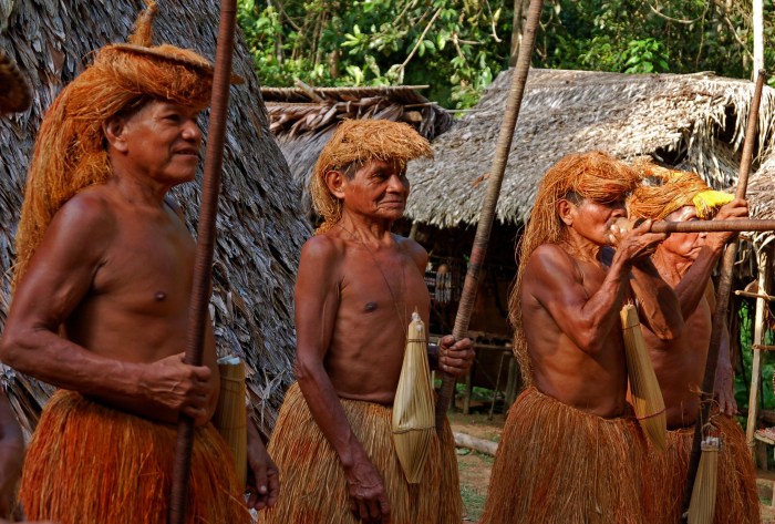 Xingu Nudegolamamamashada