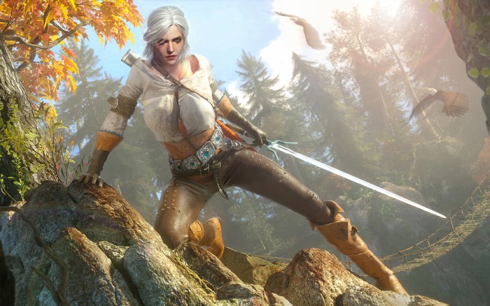 The Witcher 3 Wild Hunt Cyril