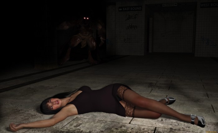 The shot girl 3d