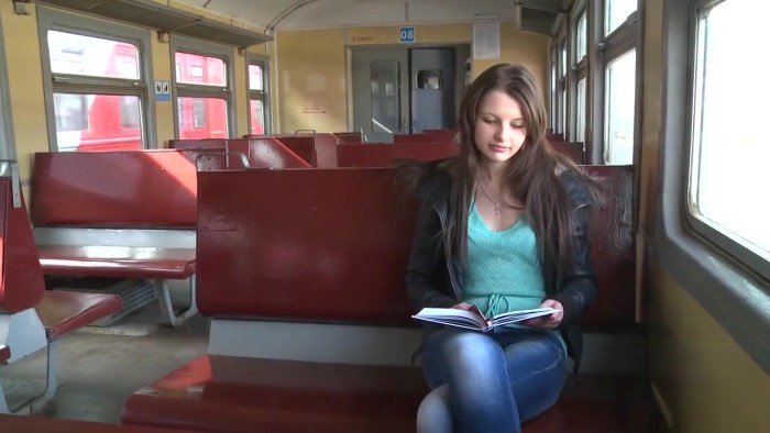Fucked a girl on a train