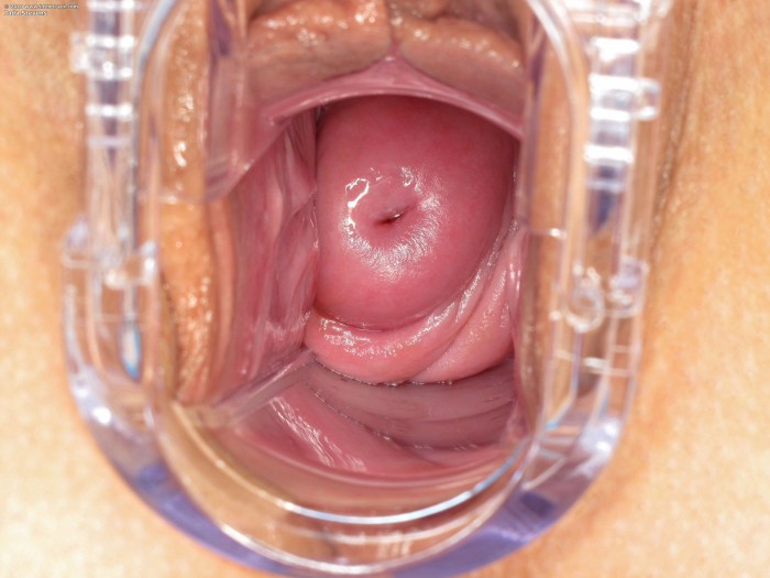 Women's vagina inside
