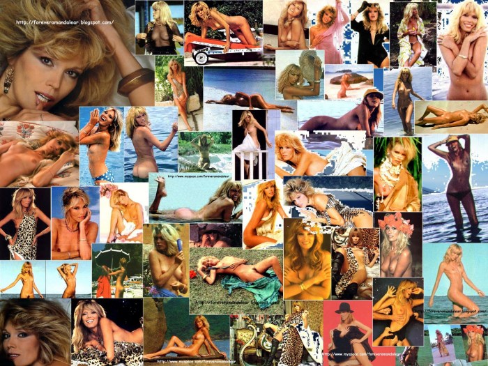 Amanda Lear Playboy