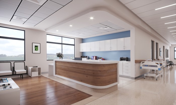 Fake Hospital
