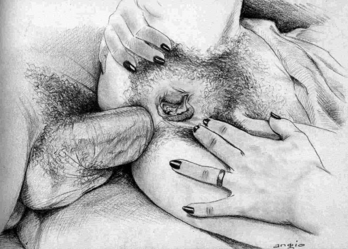 Erotic drawings of the vagina