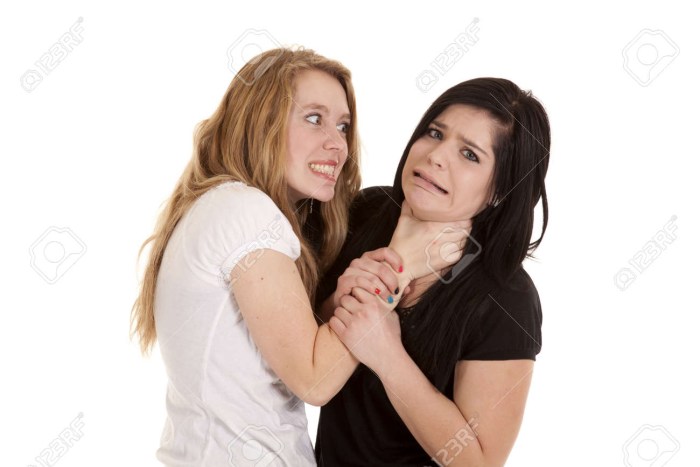 Emily and Sue series