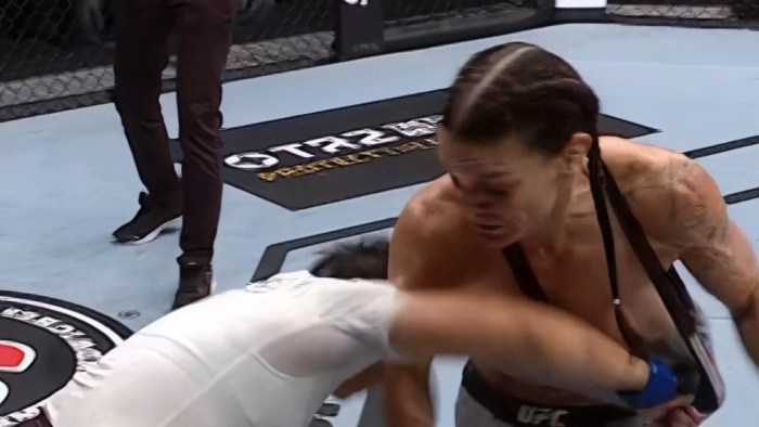 UFC Nip Slip