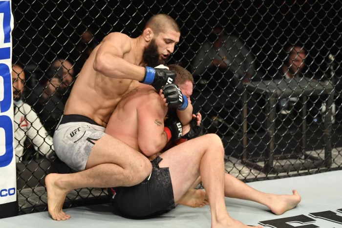 Habib Nurmagomedova in UFC