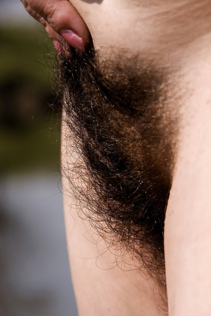 Beautiful hairy female pubis