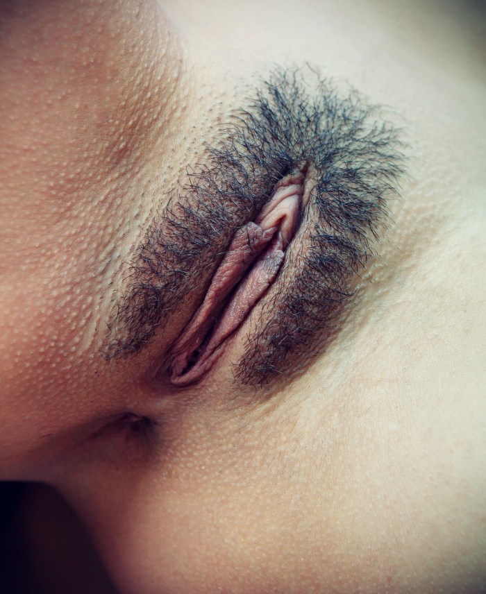 She showed a hairy pubis