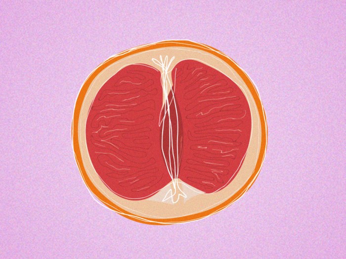 Girl's labia
