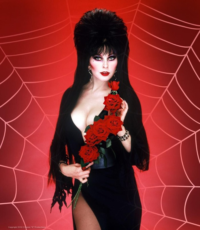 Elvira lord of darkness boobs