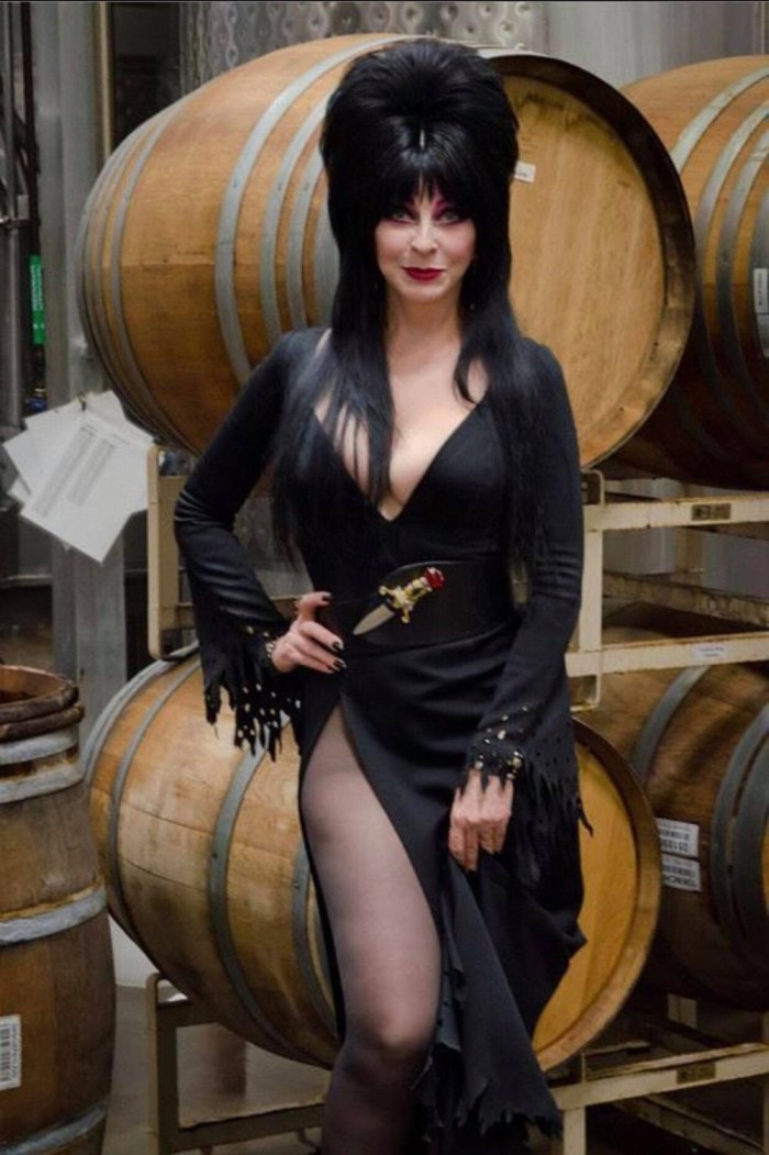Elvira Lord of Darkness 2020