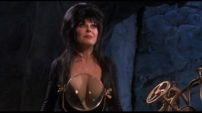 Elvira lord of darkness shots from the film