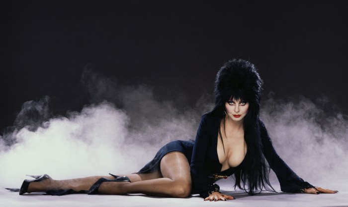 Elvira Pavlovna porn stories